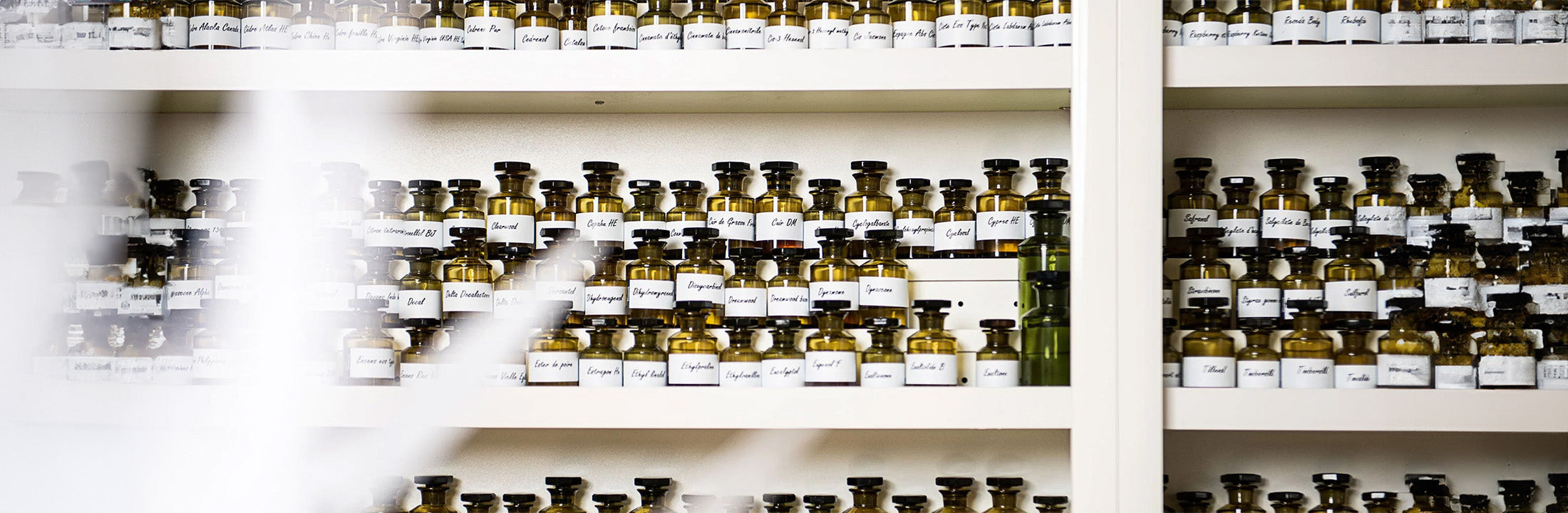Alberto Morillas | Les 10 parfums les plus cultes