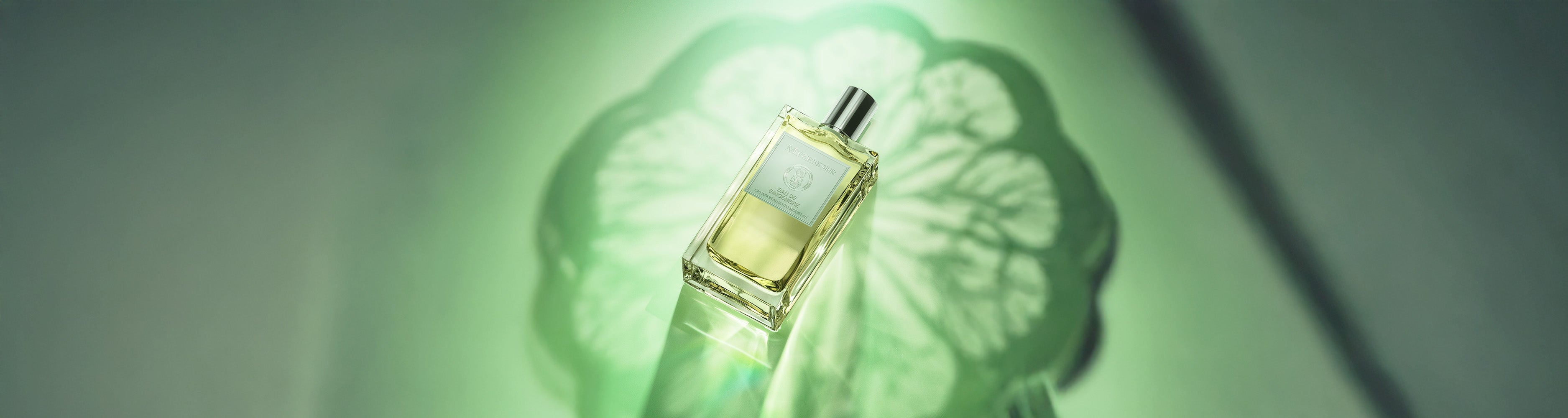 Parfums de printemps
