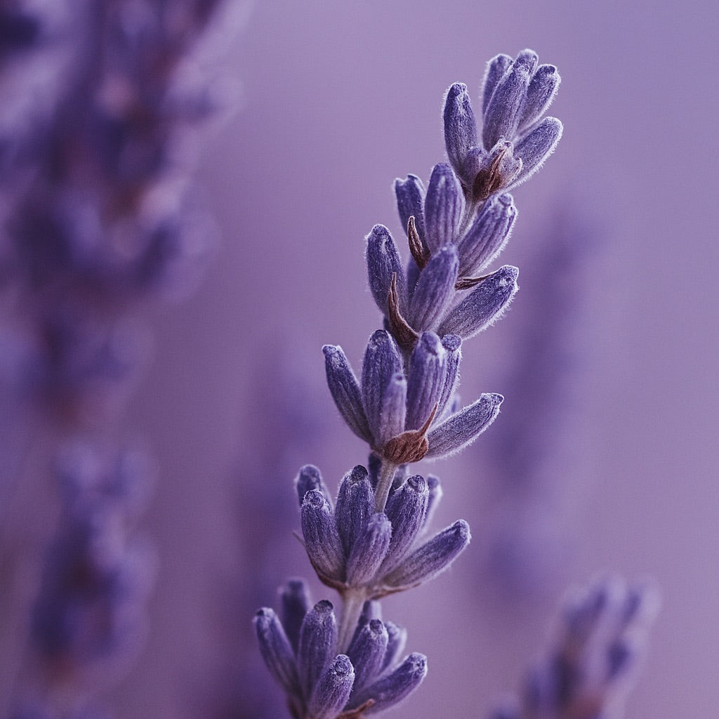 Bleu Piscine | Mini Bougie parfumée