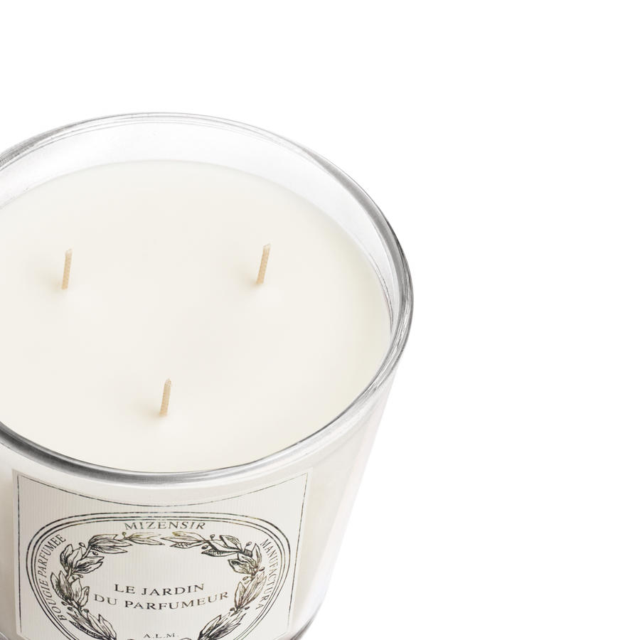 Fleur d'Olivier | Grande Bougie parfumée