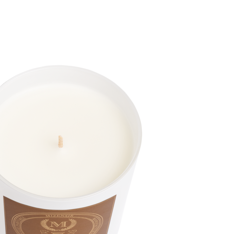 Pin Solaire | Bougie parfumée