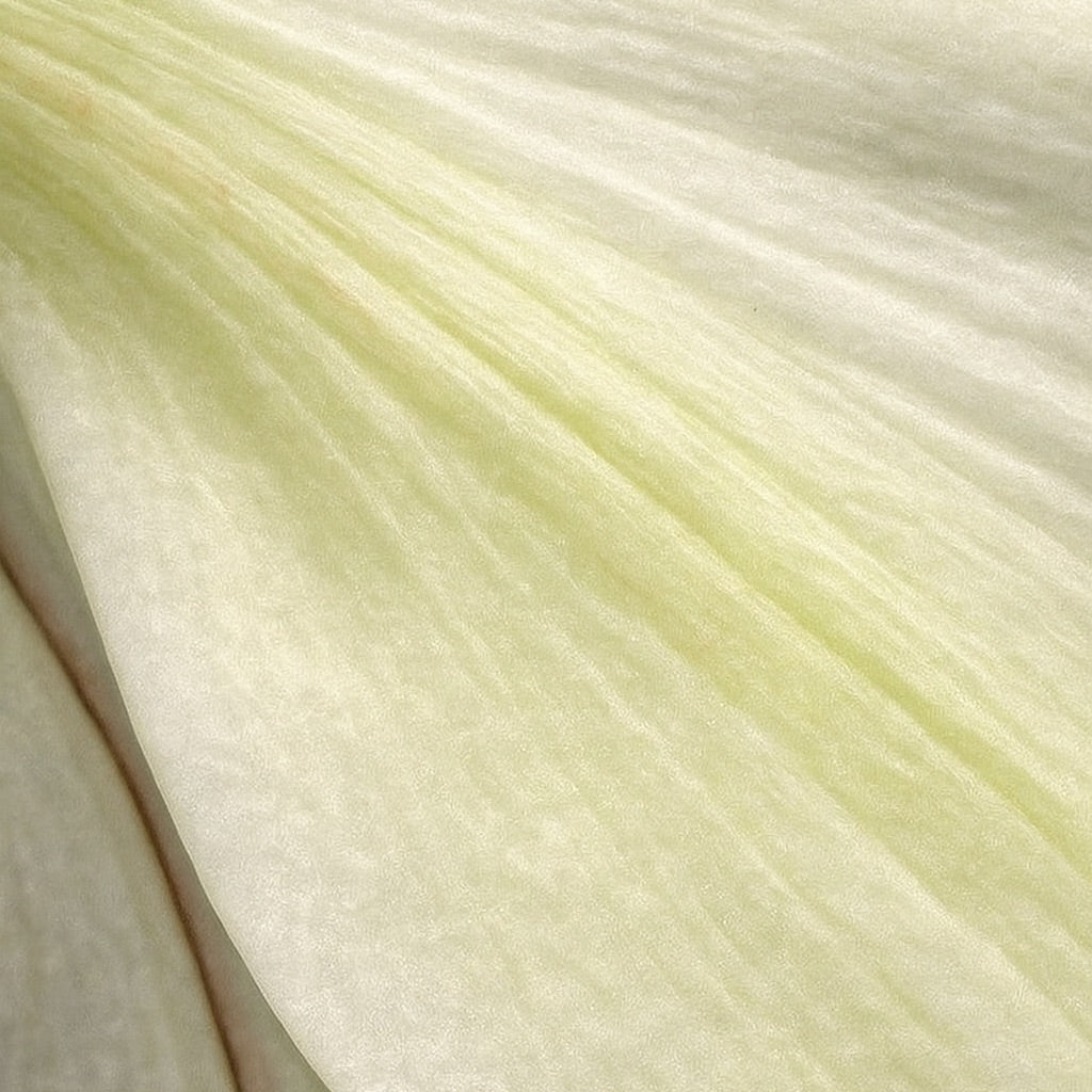 Etoile du Soir | Mini Bougie parfumée