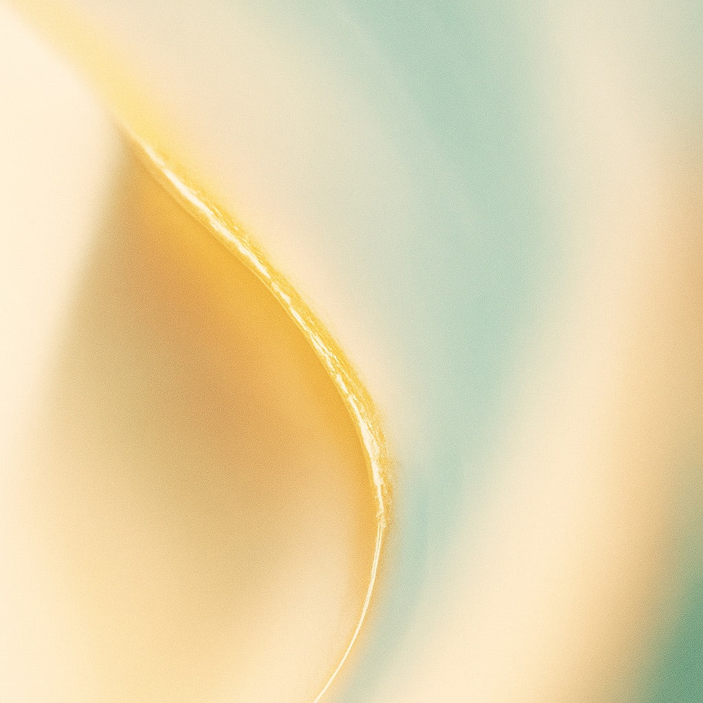 Jardin Andalou | Parfum d'ambiance