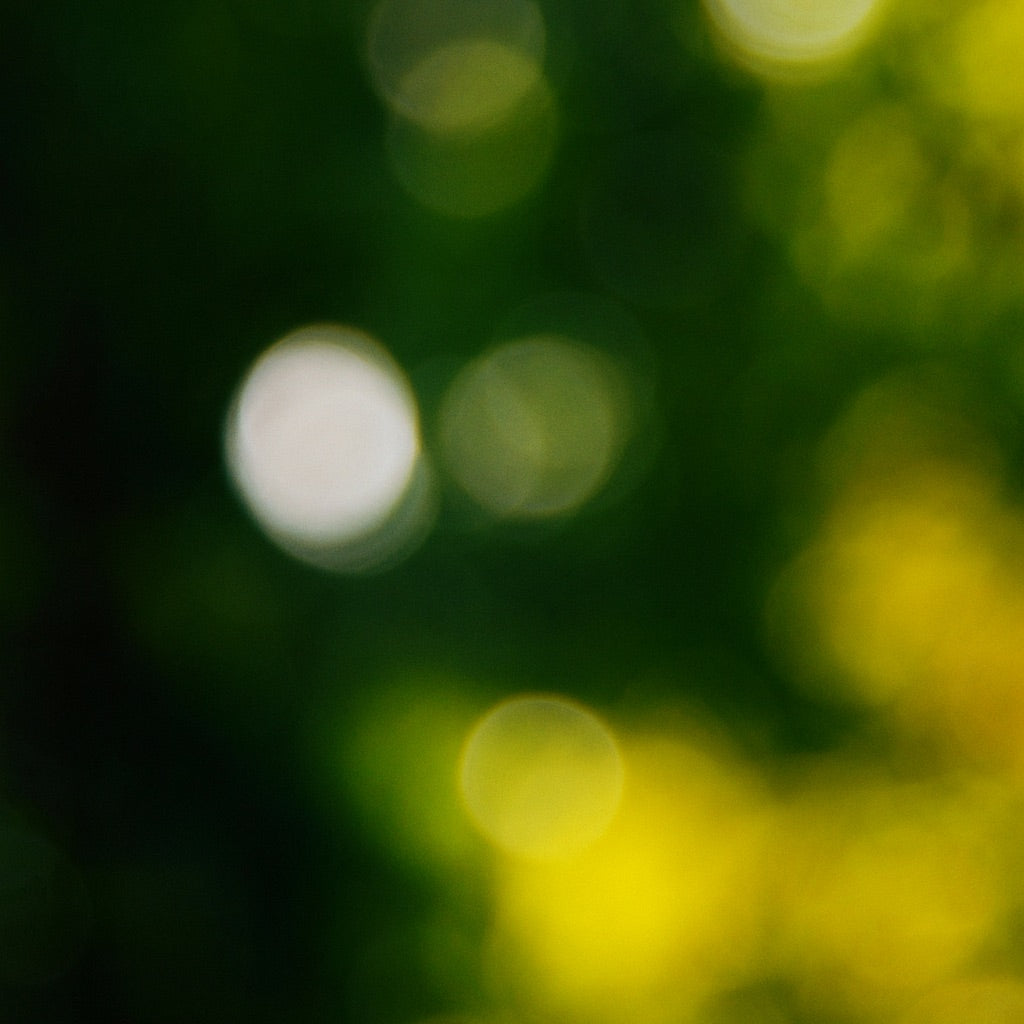 Lierre et Capucine | Grande Bougie parfumée