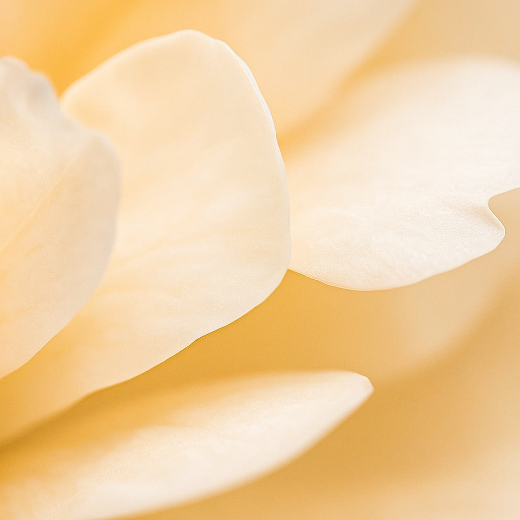 Néroli Impérial | Bougie parfumée