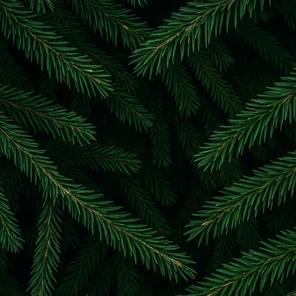 Sapin de Noël | Diffuseur d'intérieur