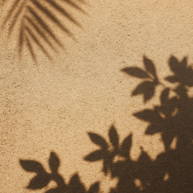 Souvenir de Vacances | Edition limitée