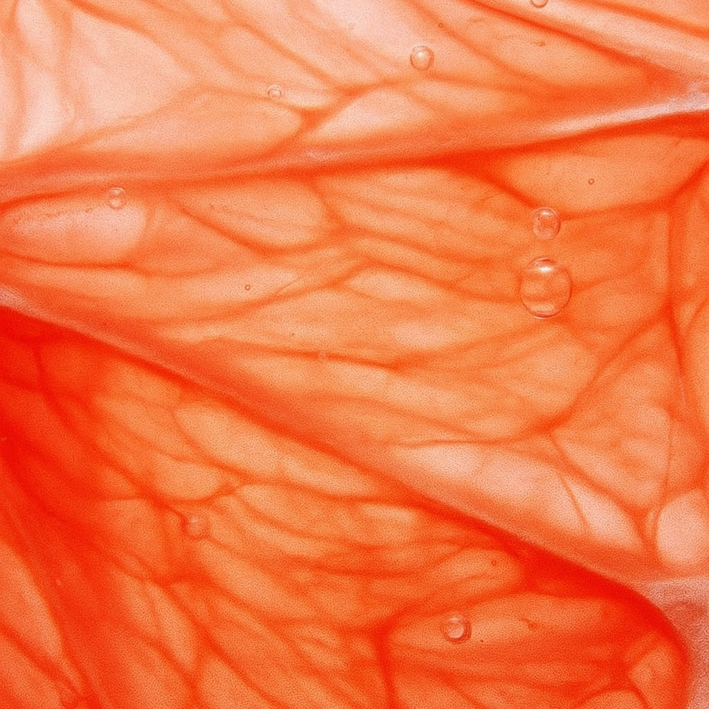 Zeste de Pamplemousse | Bougie parfumée