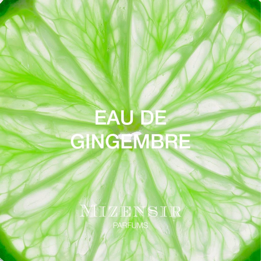 EAU DE GINGEMBRE | Recharges