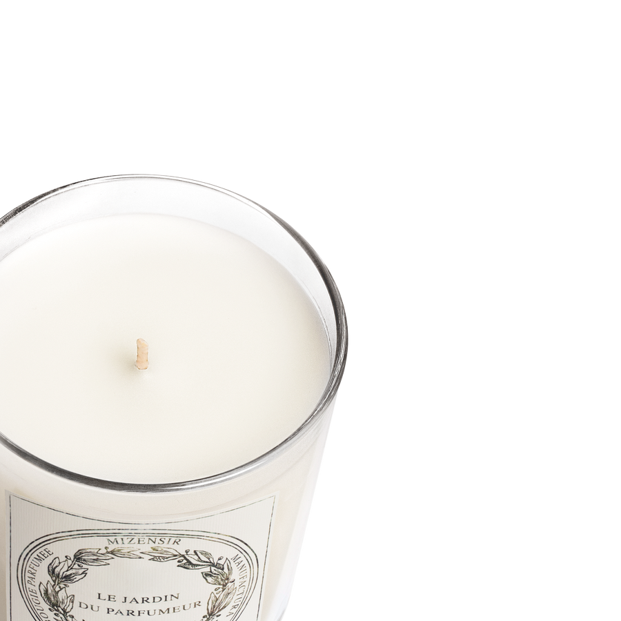 Fleur d'Olivier | Bougie parfumée