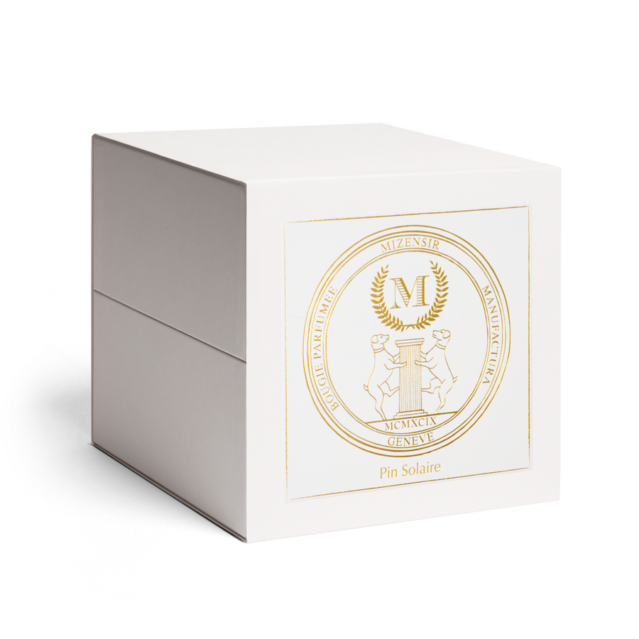 Pin Solaire | Grande Bougie parfumée