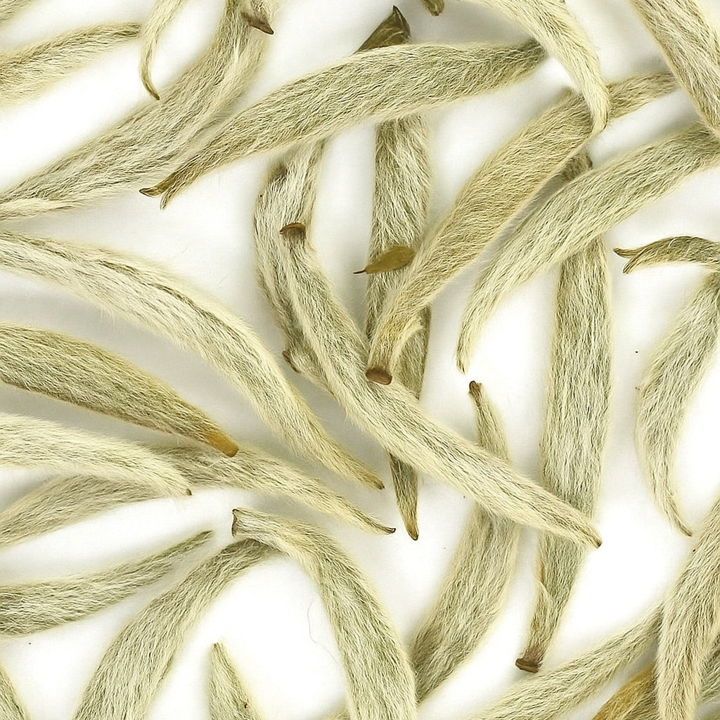 Thé Blanc | Grande Bougie parfumée