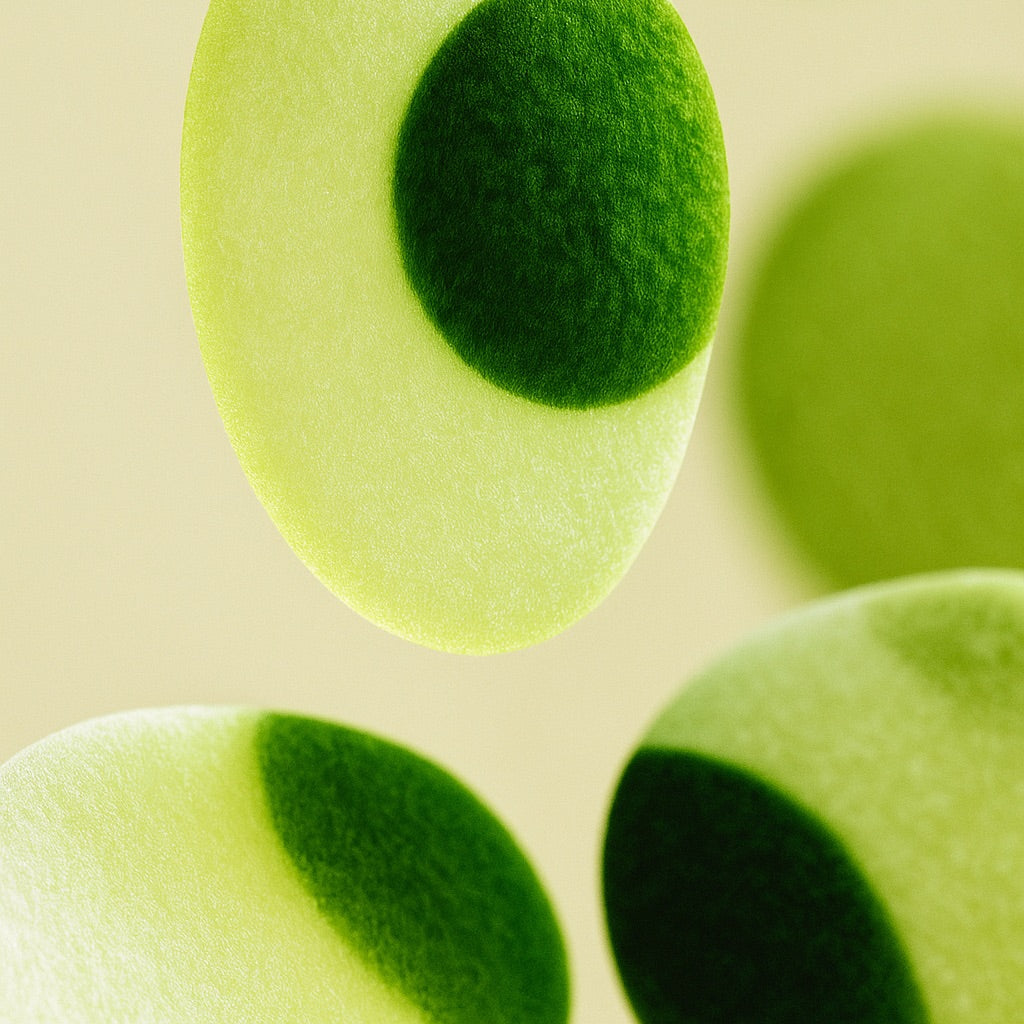 Vert Amande | Kleine Duftkerze