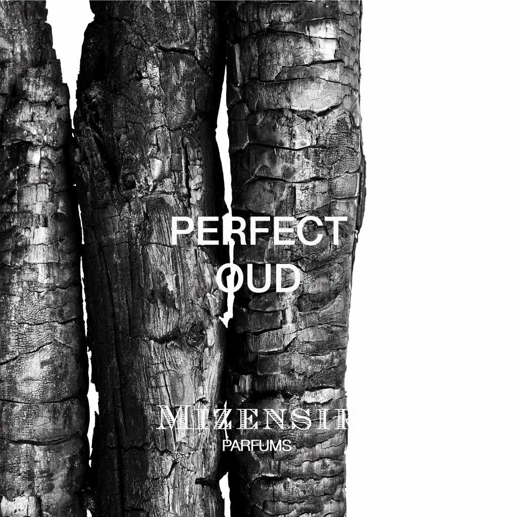 PERFECT OUD | L'étui de voyage